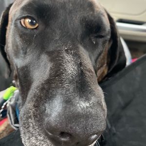 Meet your Posher, Nanami